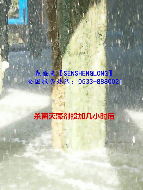 杀菌灭藻剂SM305产品投加后几小时 杀菌灭藻剂SM305产品投加后几小时