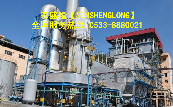 锅炉阻垢剂SG830产品应用 锅炉阻垢剂SG830产品应用