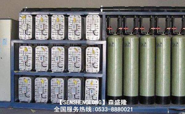20吨EDI超纯水处理设备森盛隆采用进口集成系统 20吨EDI超纯水处理设备森盛隆采用进口集成系统
