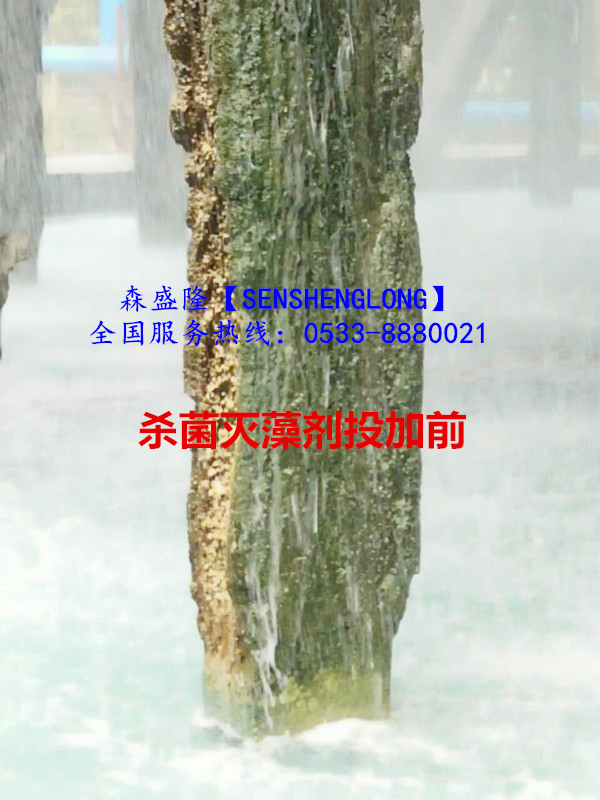 杀菌灭藻剂SM305产品投加前 杀菌灭藻剂SM305产品投加前